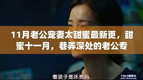 甜蜜十一月,老公专属宠妻秘密基地的甜蜜故事更新