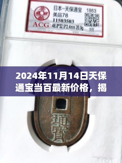 揭秘,天保通宝当百最新价格——2024年收藏市场洞察报告(附日期)