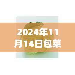 2024年包菜批发价格最新行情分析与市场走势多元观点探讨
