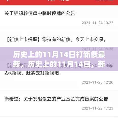 历史上的11月14日新债发行深度剖析与最新事件回顾