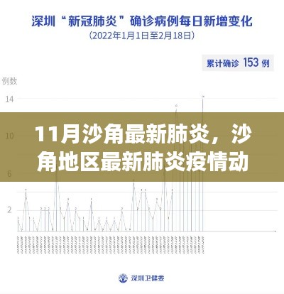 沙角地区最新肺炎疫情动态深度分析与应对建议(11月最新更新报告)