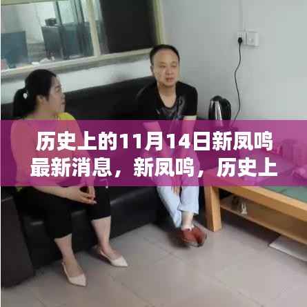 历史上的11月14日新凤鸣重要时刻回顾，最新消息一览