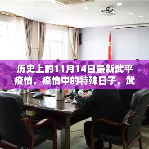 武平疫情下的特殊日子,历史上的11月14日与温暖陪伴的记忆