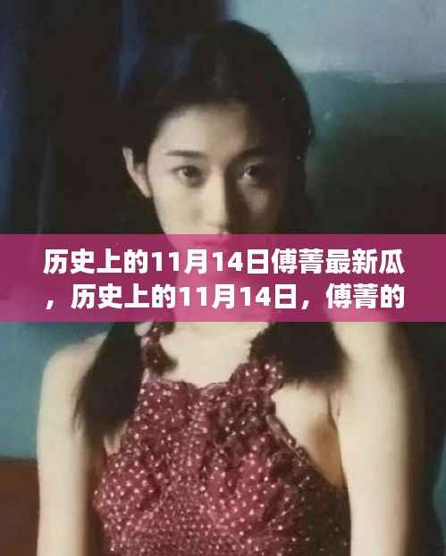 历史上的11月14日傅菁的成长之旅，励志与自信的蜕变之路