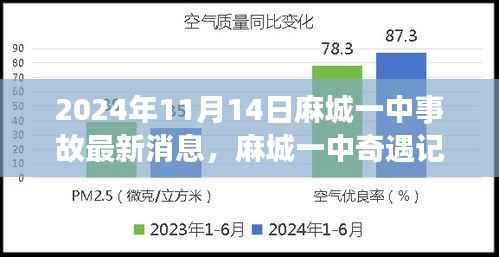 麻城一中奇遇记,一场意料之外的温馨冒险(最新消息)