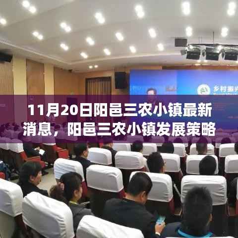 阳邑三农小镇最新动态与发展策略深度解读,聚焦11月20日更新消息