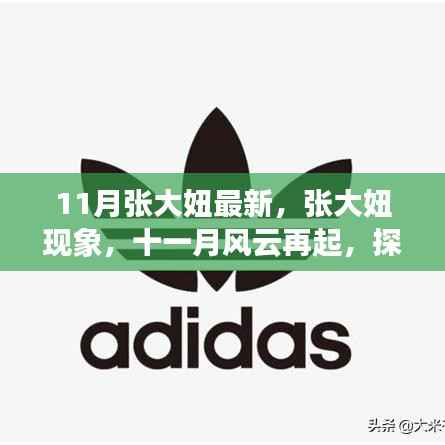 张大妞现象揭秘,十一月风云再起,探究背景、事件与影响力