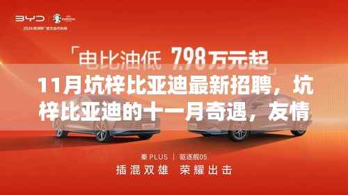 坑梓比亚迪十一月招聘季,友情、机遇与家的温暖齐聚一堂