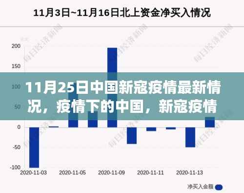 中国新冠疫情最新进展与影响分析报告,11月25日疫情下的中国分析