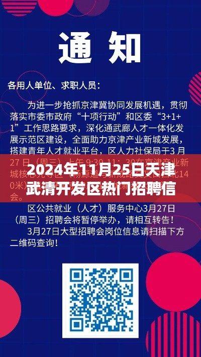天津武清开发区热门招聘信息解析,2024年11月概览
