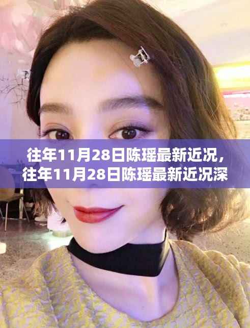 往年11月28日陈瑶最新近况深度解析,特性、体验、竞品对比与用户反馈全解析