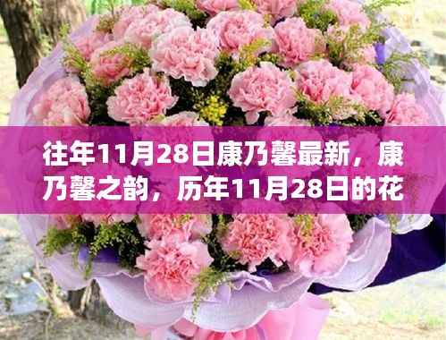 历年11月28日康乃馨回顾,最新花语与深远影响