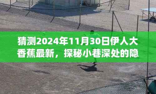 探秘隐藏美食天堂，伊人大香蕉最新惊喜，小巷深处的味觉盛宴（2024年11月30日）