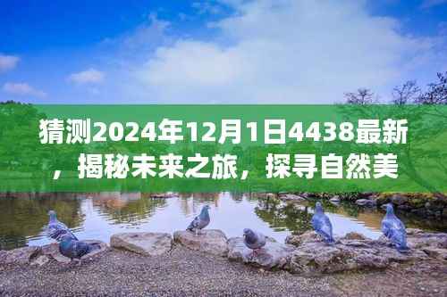 揭秘未来之旅,启程于2024年探寻自然美景的奇妙之旅篇章开启!