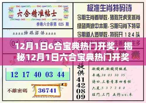 揭秘,12月1日六合宝典热门开奖背后的真相与风险警示