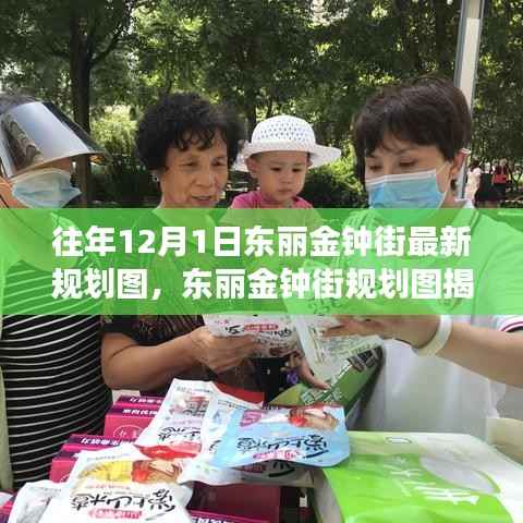 东丽金钟街最新规划图揭晓,回望过往,展望未来发展之路揭秘!