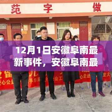 安徽阜南最新事件深度解析,特性、使用体验与目标用户群体全面评测