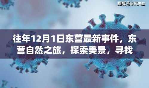 东营自然之旅，探索美景，寻找内心的宁静与平和——往年12月最新事件回顾