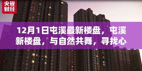 屯溪最新楼盘,与自然共舞的心灵港湾
