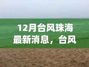 台风来袭下的珠海美景,寻找内心平静的旅程