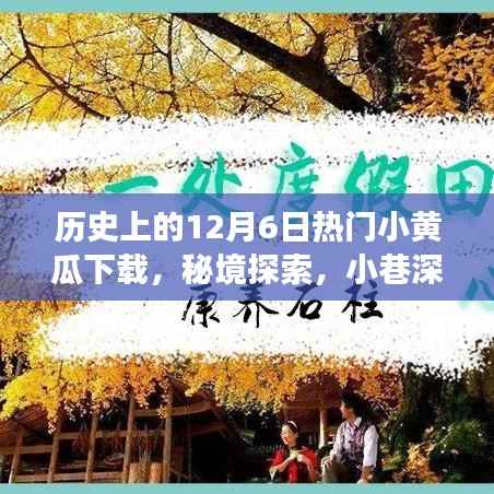 涉黄警示,揭秘历史上的小黄瓜下载与秘境探索背后的故事