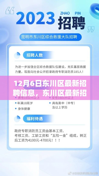 12月6日东川区最新招聘信息概览——职场人的福音，新动态发布