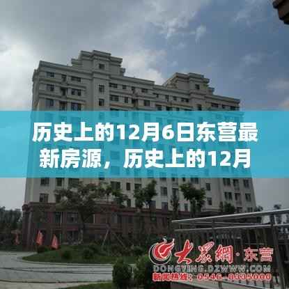 历史上的12月6日东营最新房源详解与全面评测
