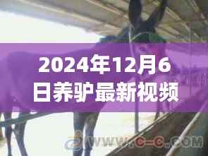 2024年养驴新风尚观察,最新视频揭示驴产业观点