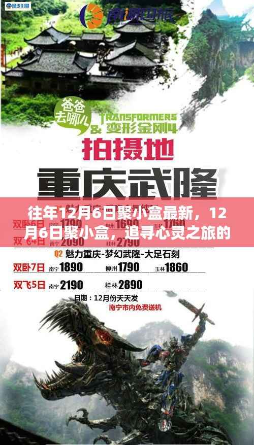 12月6日聚小盒,追寻心灵之旅的奇迹,最新活动回顾