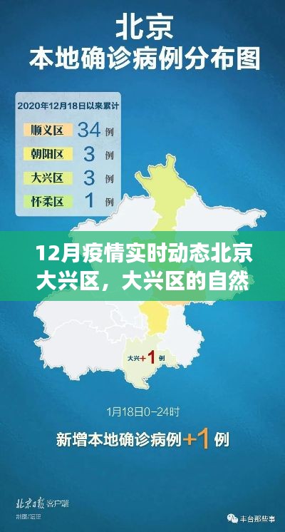 北京大兴区疫情实时动态下的自然秘境探索之旅