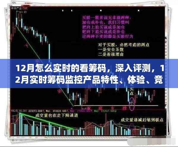 12月实时筹码监控产品深度评测,特性、体验、竞争分析与目标用户群体剖析