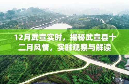 揭秘武宣县十二月风情,实时观察与解读