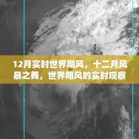 实时观察与深度剖析,世界飓风在十二月的风暴之舞