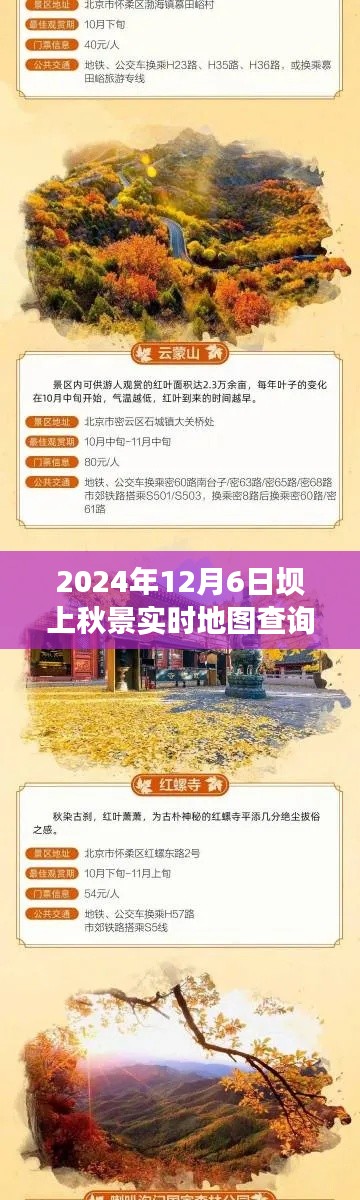 探秘坝上秋色，实时地图查询指南，带你领略秋景之美（日期，XXXX年XX月XX日）
