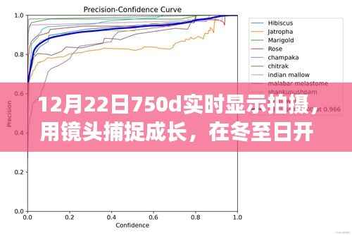 冬至成长摄影之旅，捕捉成长的瞬间，自信闪耀的摄影之旅