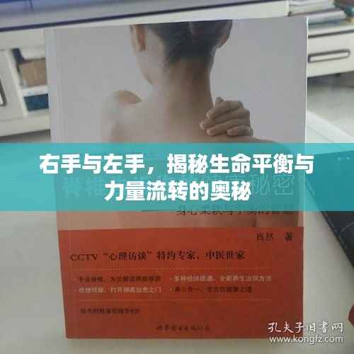 右手与左手,揭秘生命平衡与力量流转的奥秘