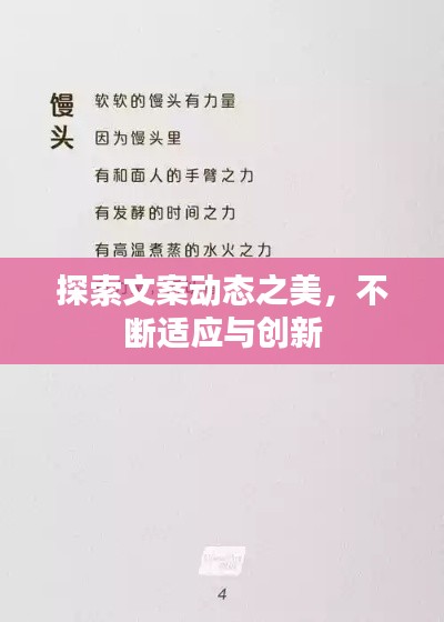 探索文案动态之美，不断适应与创新