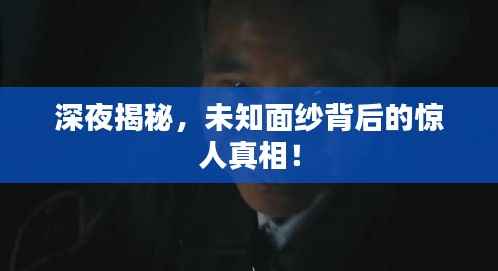 深夜揭秘,未知面纱背后的惊人真相!