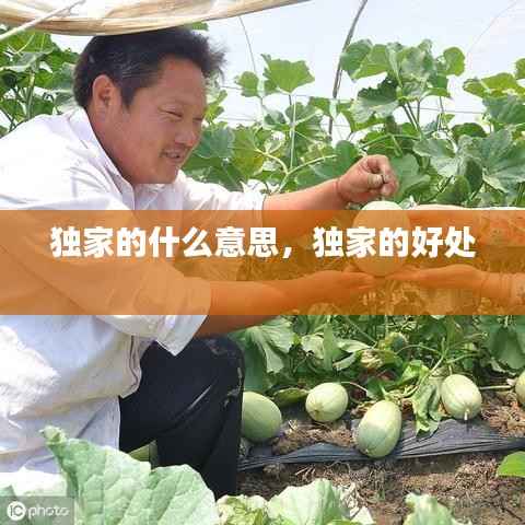 独家的什么意思,独家的好处