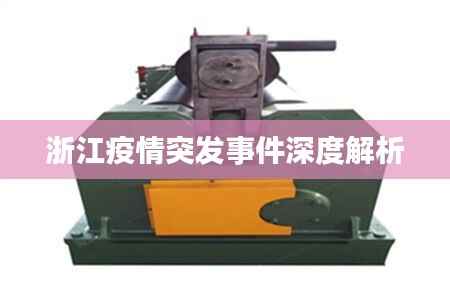 浙江疫情突发事件深度解析