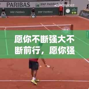 愿你不断强大不断前行,愿你强大到无懈可击是什么意思