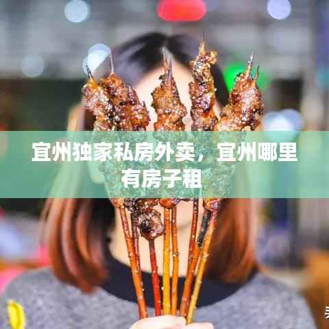 宜州独家私房外卖,宜州哪里有房子租