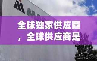 全球独家供应商,全球供应商是什么意思