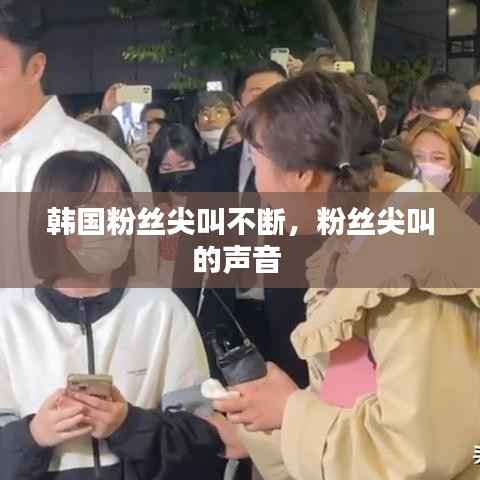 韩国粉丝尖叫不断,粉丝尖叫的声音