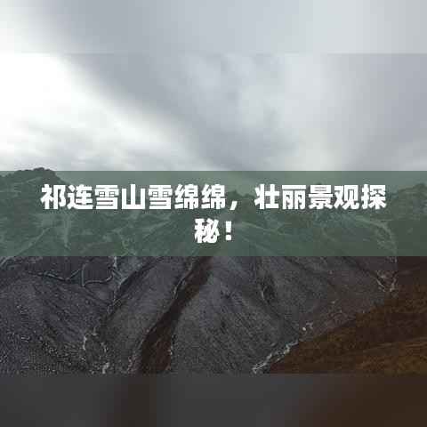 祁连雪山雪绵绵,壮丽景观探秘!