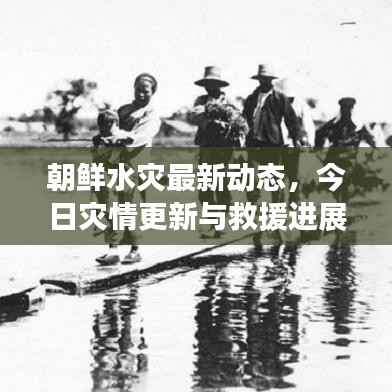 朝鲜水灾最新动态,今日灾情更新与救援进展
