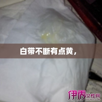 白带不断有点黄,