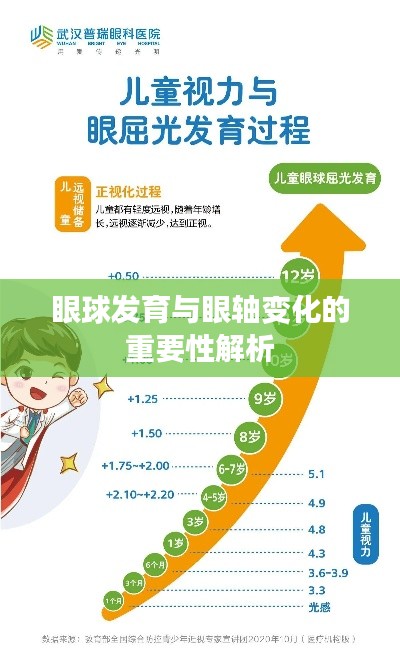 眼球发育与眼轴变化的重要性解析