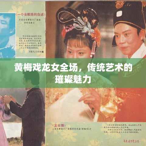 黄梅戏龙女全场,传统艺术的璀璨魅力