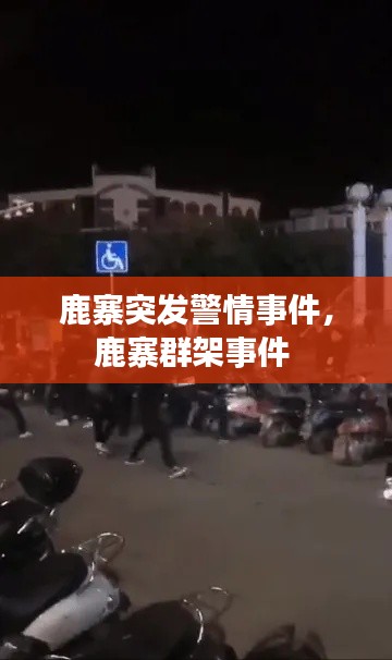 鹿寨突发警情事件,鹿寨群架事件